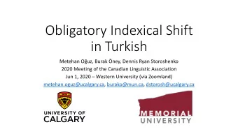 in Turkish Metehan Ouz, Burak ney, Dennis Ryan Storoshenko  2020 Meeting of the Canadian