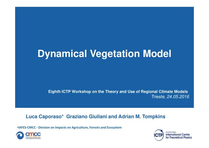 dynamical vegetation model