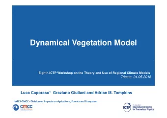 Dynamical Vegetation Model  Eighth ICTP Workshop on the Theory and Use of Regional Climate Models