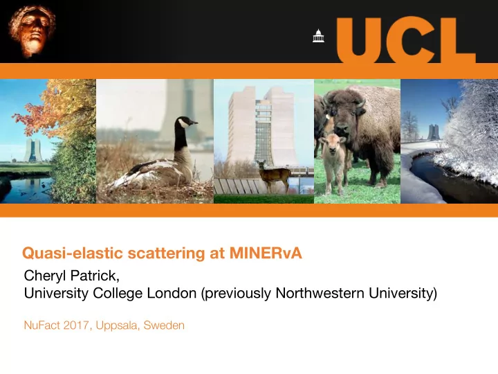quasi elastic scattering at minerva