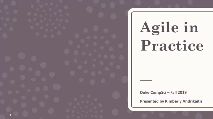 agile in practice