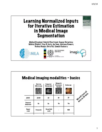 Learning Normalized Inputs  for Iterative Estimation  in Medical Image  Segmentation  Michal