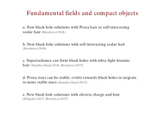 Fundamental fields and compact objects  a. New black hole solutions with Proca hair or