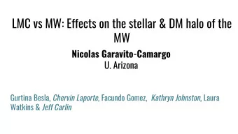 LMC vs MW: Effects on the stellar &amp; DM halo of the  MW  Nicolas Garavito-Camargo  U. Arizona