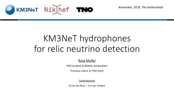 for relic neutrino detection  Rasa Muller  PhD student at Nikhef, Amsterdam  Previous intern at TNO