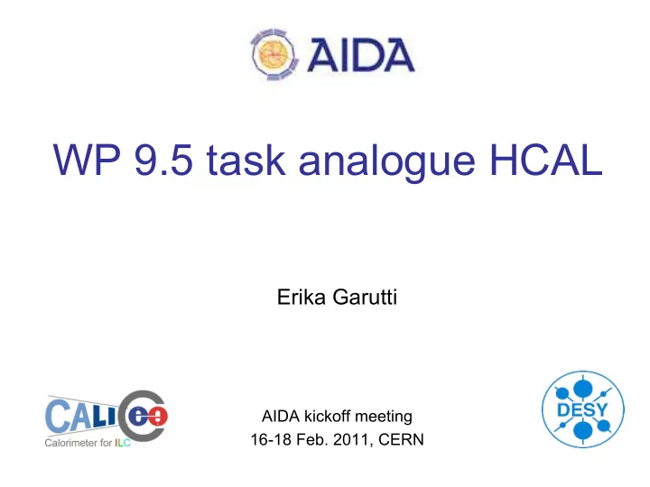 wp 9 5 task analogue hcal