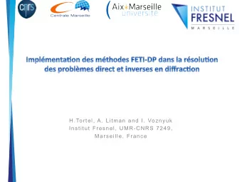 H.Tortel, A. Litman and I. Voznyuk  Institut Fresnel, UMR-CNRS 7249,  Marseille, France Vocabulary