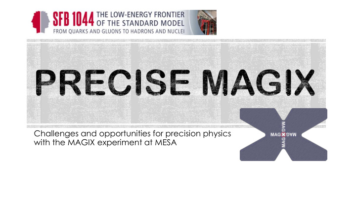 challenges and opportunities for precision physics with