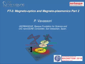 P. Vavassori  -IKERBASQUE, Basque Fundation for Science and  CIC nanoGUNE Consolider, San