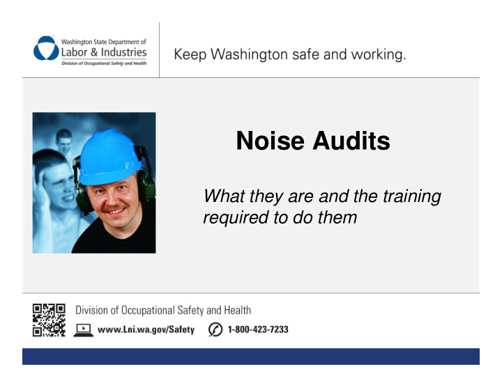 noise audits