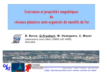 Croissance et proprits magntiques  de  rseaux planaires auto-organiss de nanofils de Fer