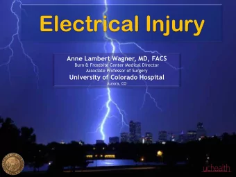 Electrical Injury  Anne Lambert Wagner, MD, FACS  Burn &amp; Frostbite Center Medical Director