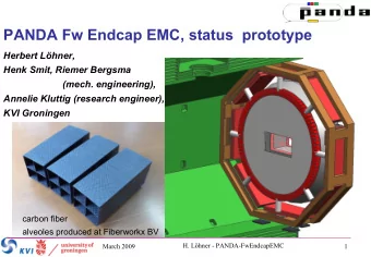 PANDA Fw Endcap EMC, status  prototype  Herbert Lhner,  Henk Smit, Riemer Bergsma  (mech.