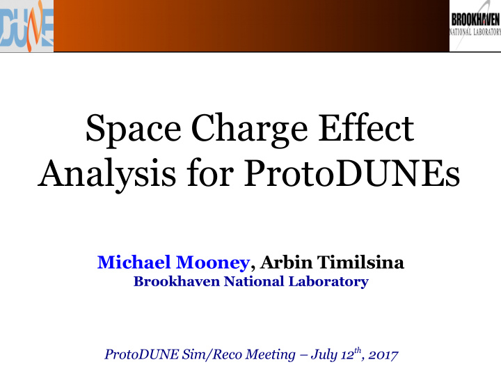 space charge effect analysis for protodunes