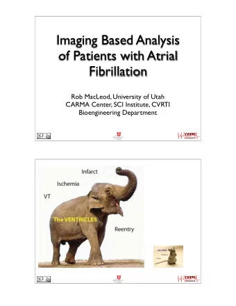 Imaging Based Analysis  of Patients with Atrial  Fibrillation  Rob MacLeod, University of Utah