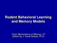 rodent behavioral learning