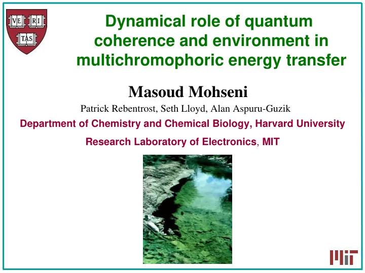 dynamical role of quantum coherence and environment in