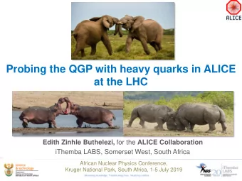 at the LHC Edith Zinhle Buthelezi, for the ALICE Collaboration  iThemba LABS, Somerset West, South