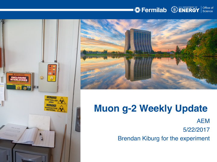 muon g 2 weekly update