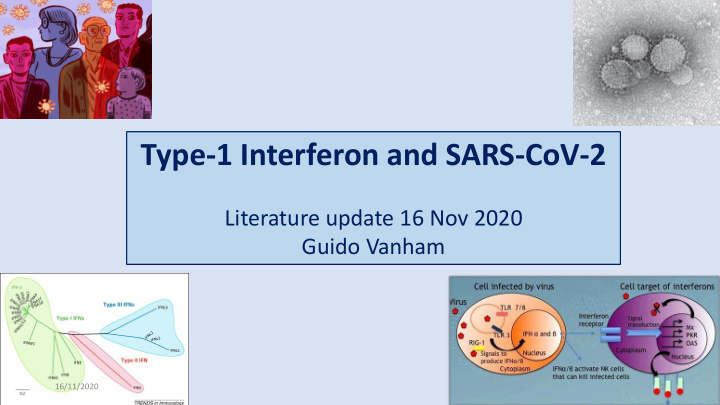 type 1 interferon and sars cov 2