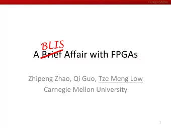 A  Brief  Affair  with  FPGAs    Zhipeng  Zhao,  Qi  Guo,  Tze  Meng