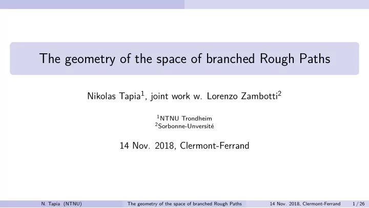 the geometry of the space of branched rough paths
