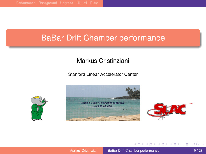 babar drift chamber performance