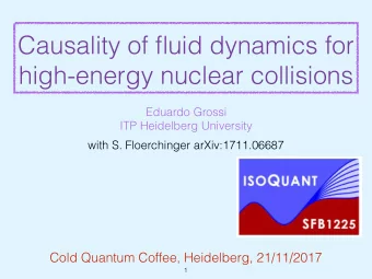 Causality of fluid dynamics for  high-energy nuclear collisions  Eduardo Grossi  ITP Heidelberg