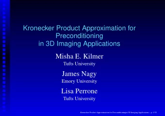 Misha E. Kilmer  Tufts University  James Nagy  Emory University  Lisa Perrone  Tufts University