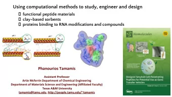 Using computational methods to study, engineer and design  functional peptide materials  clay