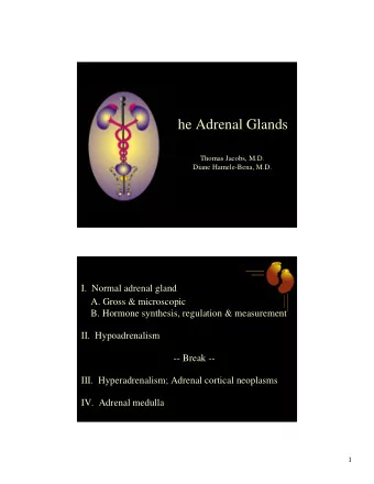 The Adrenal Glands  Thomas Jacobs, M.D.  Diane Hamele-Bena, M.D.  I.  Normal adrenal gland  A.