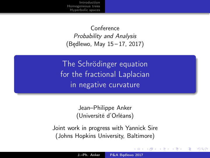 the schr dinger equation for the fractional laplacian in