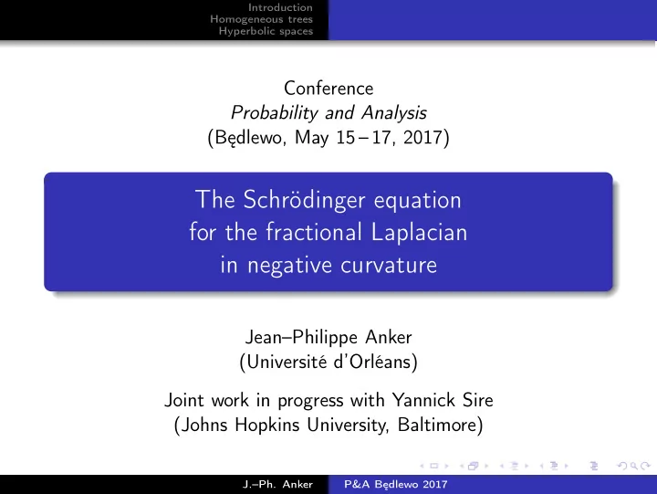 the schr dinger equation for the fractional laplacian in