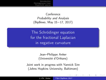 The Schrdinger equation  for the fractional Laplacian  in negative curvature  JeanPhilippe