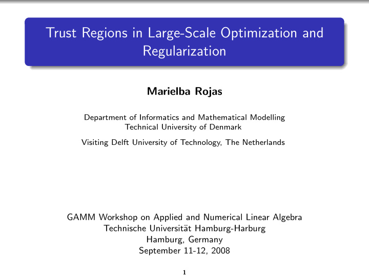 trust regions in large scale optimization and
