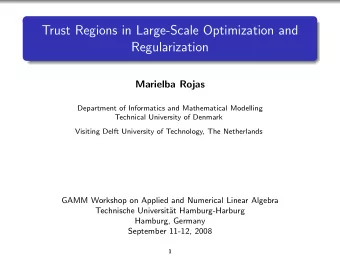 Trust Regions in Large-Scale Optimization and  Regularization  Marielba Rojas  Department of