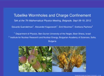 Tubelike Wormholes and Charge Confinement  Talk at the 7th Mathematical Physics Meeting, Belgrade,