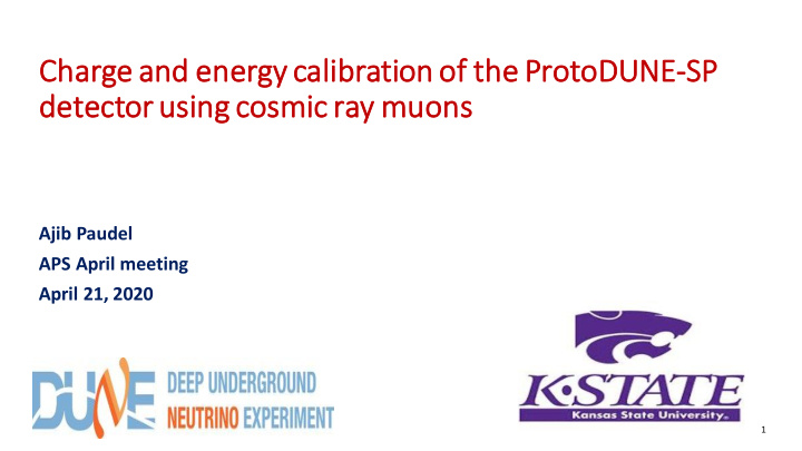 char arge an and energy cal alibration of the protodune