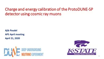 Char  arge an  and energy cal  alibration of the ProtoDUNE  NE-SP  SP  detector using  g cosmi  mic