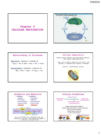 Chapter 9  CELLULAR RESPIRATION  Relationship of Processes  Cellular Respiration  complex process