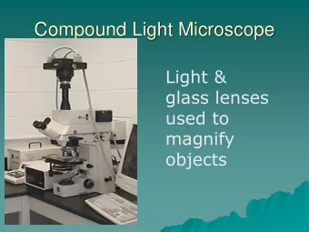 Compound Light Microscope  Light &amp;  glass lenses  used to  magnify  objects  Eyepiece  10X