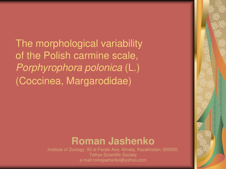 the morphological variability