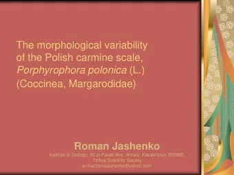 The morphological variability  of the Polish carmine scale, Porphyrophora polonica (L.)  (Coccinea,