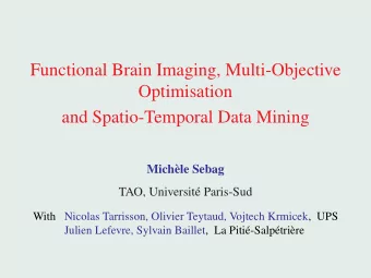 Functional Brain Imaging, Multi-Objective  Optimisation  and Spatio-Temporal Data Mining  Michle