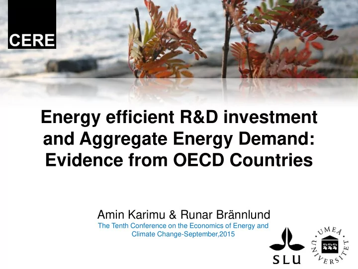 energy efficient r d investment