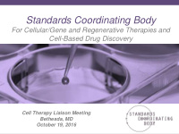 standards coordinating body