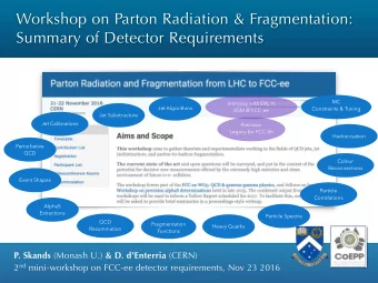 Workshop on Parton Radiation &amp; Fragmentation:  Summary of Detector Requirements  MC  Interplay