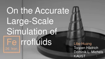 On the Accurate  Large-Scale  Simulation of  rrofluids  Fe  Libo Huang  Torsten Hdrich  26  Iron