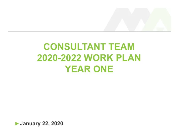 consultant team 2020 2022 work plan year one