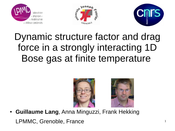 dynamic structure factor and drag force in a strongly